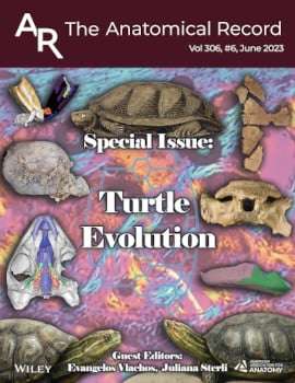 Special Issue: Turtle Evolution