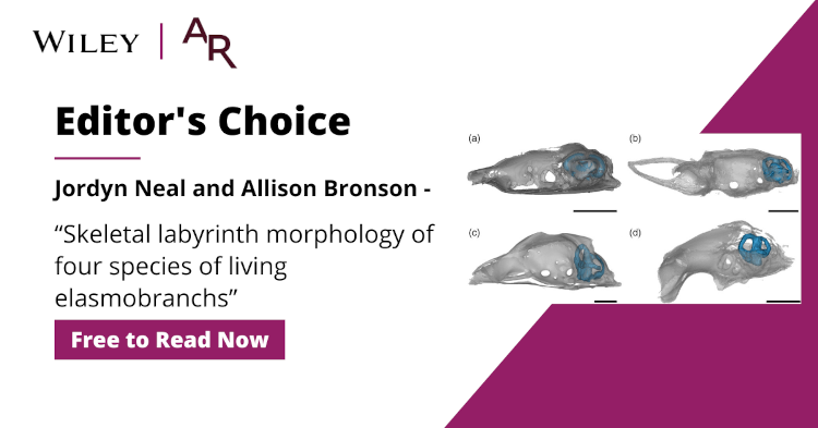 April 2025 Editor's Choice article
